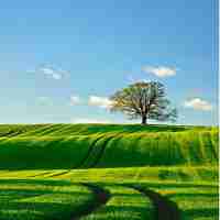 seo的​策﻿略﻿主‍要‍包‌括‌